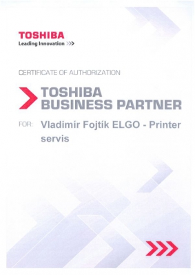 Toshiba 2013