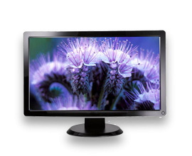 LCD monitor